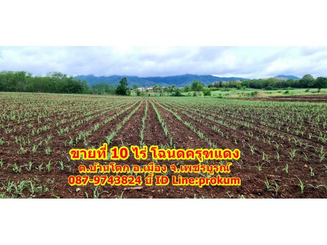 ขายที่ 10ไร่ ต.บ้านโตก