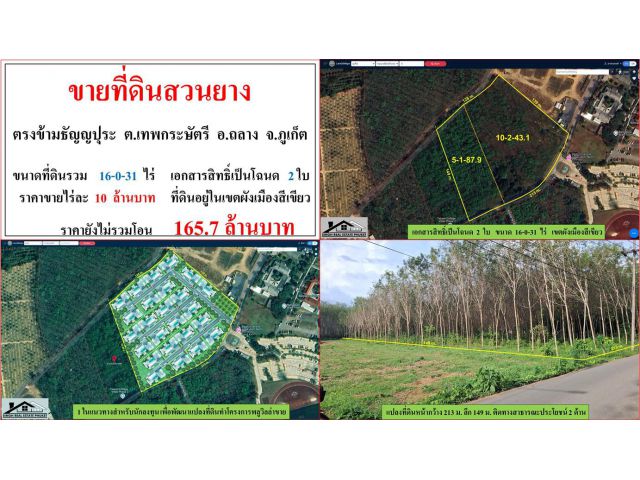 ขายที่ดินสวนยาง ขนาด 16-0-31 ไร่  ตรงข้ามธัญญปุระ  ต.เทพกระษัตรี  อ.ถลาง  ภูเก็ต