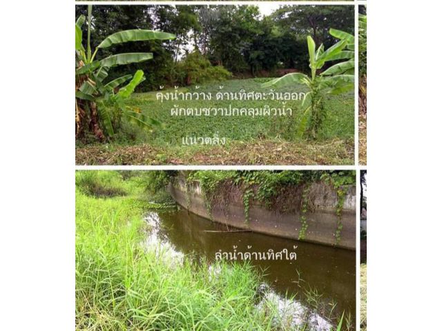 ขายที่ดินติดริมน้ำแม่ปูคาสันกำแพงถมดินน้ำไฟพร้อม