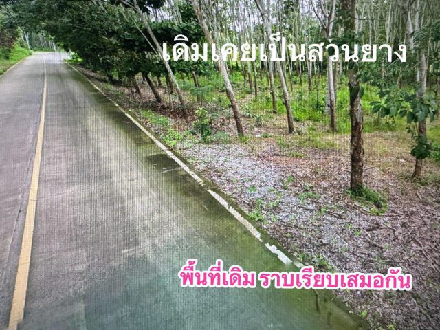 ที่ดินทำเลดีติดใกล้ตลาดสามย่าน อ.แกลง 2 ไร่