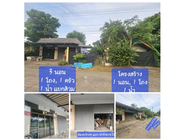 บ้าน2หลัง+ที่ดิน 177 ตรว. ค้าขาย ทำกิจการได้