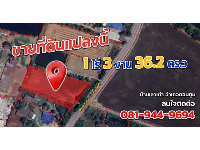 ขายด่วนที่ดินทำเลดี นครปฐม