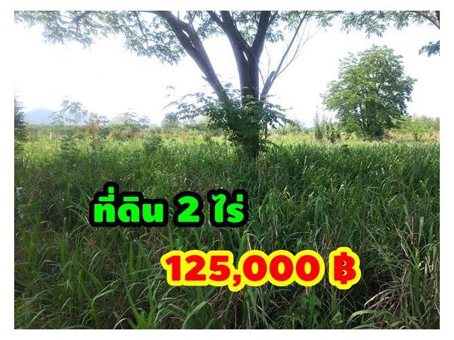 ขายที่ดินไทรโยค จังหวัดกาญจนบุรี 2 ไร่ ผ่อนได้ ผ่อนน้อย ใกล้แม่น้ำแควน้อย โทร 081 011 7012