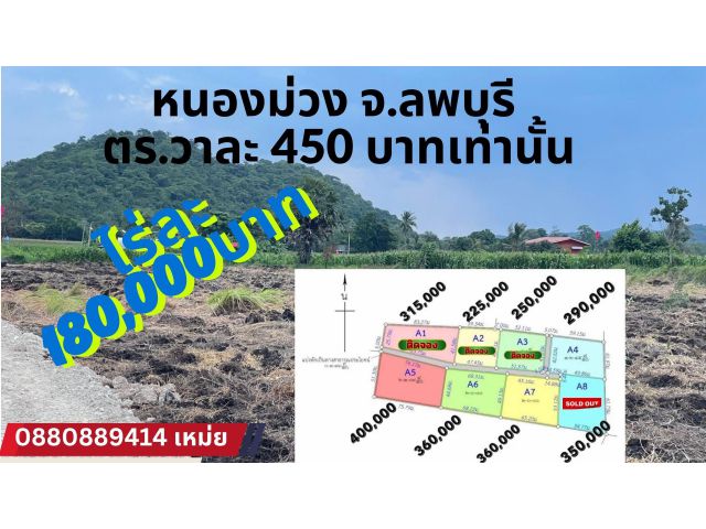 ที่ดิน หนองม่วง จ. ลพบุรี ไร่ละ 180000