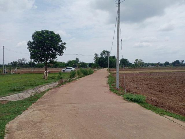 ที่ดินศักยภาพสูง ติดถนนคอนกรีต 2 ด้าน ตำบลน้ำโจ้ อำเภอแม่ทะ จังหวัดลำปาง