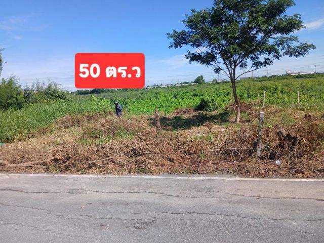 ■□■□■□ถูกที่สุดย่านไทรน้อย 50 ตร.ว 650000 ถนนฯน้ำไฟพร้อม■□■□■□