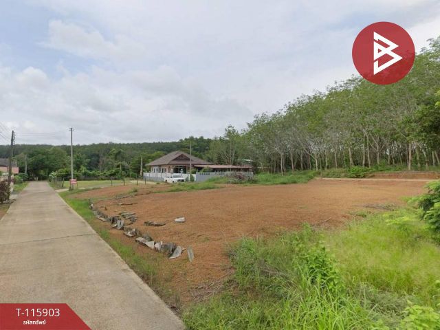 ขายที่ดิน เนื้อที่ 1 งาน 3 ตร.วา วังกระแจะ ตราด