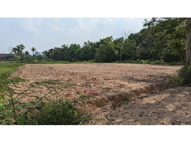 Land for Sale Near Maejo University