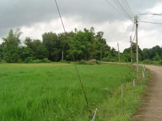 Land for Sale in Makham Sung, Quiet Khwae Noi River