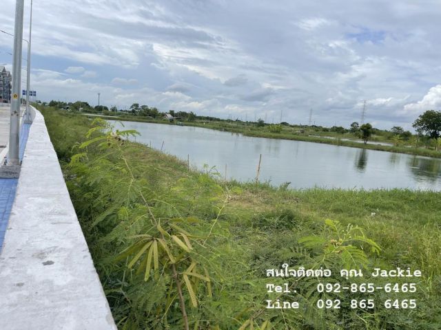 ที่ดินเปล่า โฉนดครุฑแดง ติดนิคมอมตะซิตี้ชลบุรี (ผังสีม่วงอ่อนจุดขาว)