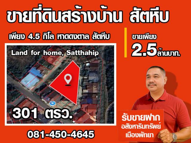 ขายที่ดินสร้างบ้าน #ขายที่ดินสัตหีบ พลูตาหลวง