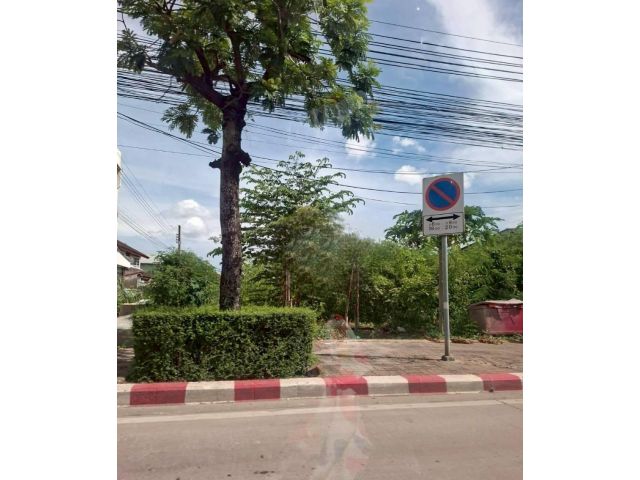 ให้เช่าที่ดินถมแล้ว 1 ไร่ ทำเลดี ติดถนนเฉลิมพระเกียรติ (N.1785)