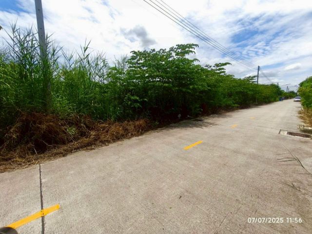 ขายต่ำกว่าราคาตลาด ที่ดิน 184 ตรว(แบ่งได้) ติดถนนคอนกรีตสาธารณะ ซ.คลองสาม 5/15 อ.คลองหลวง จ.ปทุมธานี
