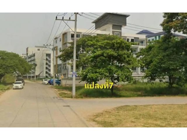 ขายที่ดินตำบลช้่างเผือกใกล้มหาวิทยาลัยราชภัฏ เชียงใหม่