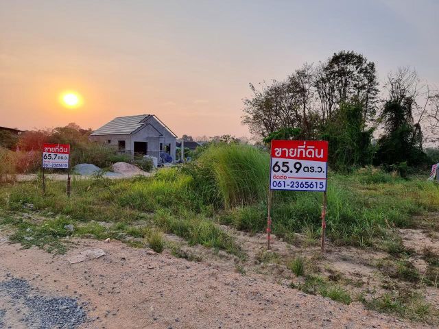 ขายที่ดิน 67 ตรว. ตะเคียนเตี้ย บางละมุง ชลบุรี