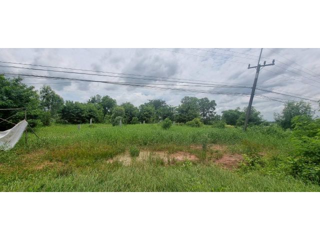 ขายที่ดินเปล่าขนาด 3 ไร่ 1 งาน 55 ตร.ว. ตำบลบางอ้อ อำเภอบ้านนา นครนายก