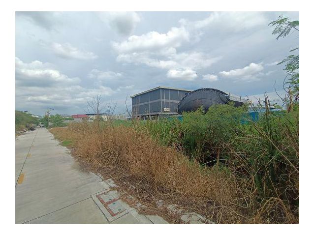 ขายที่ดิน ซอยราชา 17 ซอยลาดกระบัง 14/1 ราชาเทวะ บางพลี สมุทรปราการ เหมาะสร้างบ้าน โกดัง