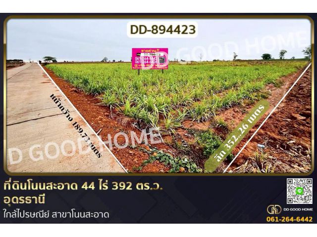 DD-894423 ที่ดินโนนสะอาด 44 ไร่ 392 ตร.ว. อุดรธานี ใกล้ไปรษณีย์ สาขาโนนสะอาด