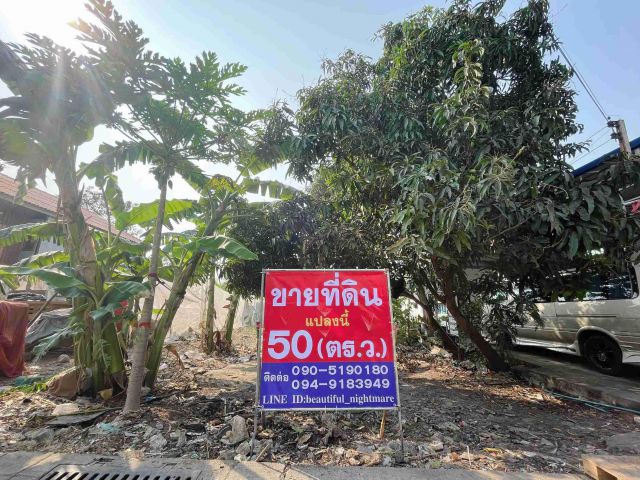 ขายที่ดินเปล่า 50 ตร.ว. ทำเลดี ใกล้ธรรมศาสตร์ รังสิต