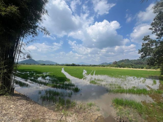 ขายที่ดินสาริกา 14 ไร่ ซอยวัดเขาแดง ใกล้ถนนเส้นทล3049-1.5กม. เมืองนครนายก