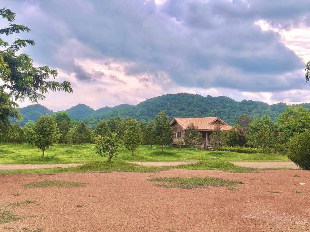 ขายที่สวนทุเรียน เขาใหญ่ ปากช่อง บ้านสวนผลไม้ คลองม่วง นครราชสีมา ที่ดิน 11 ไร่ พร้อมบ้านไม้เรือนไทย ใกล้ภูเขา วิวเขาล้อ