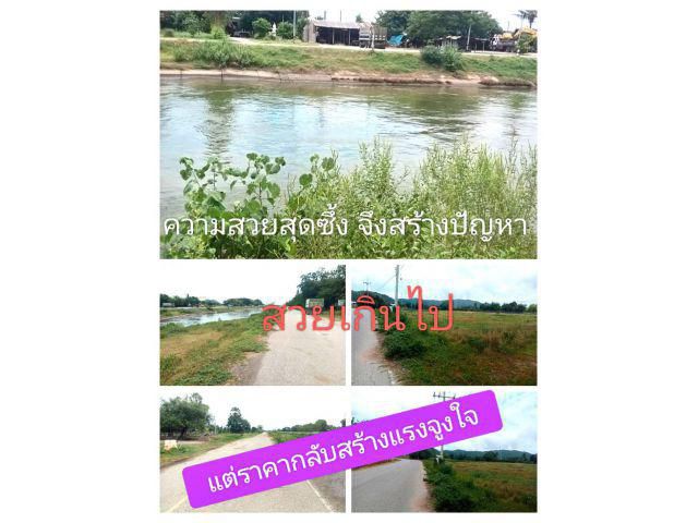 สวยคาที่ดีคาใจ ทำไมต้องแปลงนี้ ไม่ดูไม่ได้แล้วดีซะขนาดนี้ต้องดีให้ถึงที่สุด เป็นพิเศษเขตที่น่าอยู่