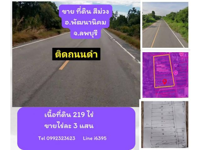 ขายที่ดินสีม่วง 219ไร่ จ.ลพบุรี ไร่ละ3แสน