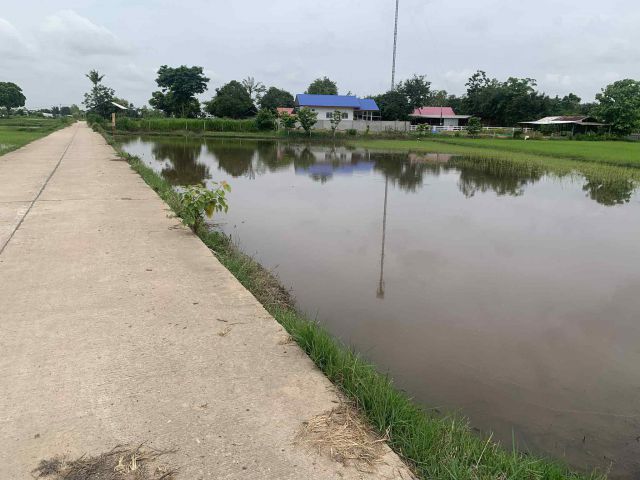 ขายที่ดินบ้านดวนใหญ่