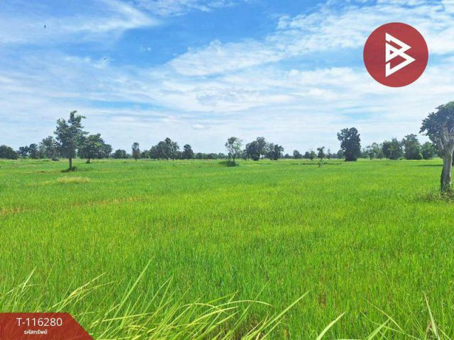 ขายที่ดิน 10 ไร่ เมืองบุรีรัมย์ ราคายกแปลง 1.25 ล้าน  0841723685 บอย
