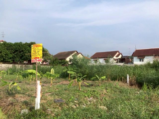 ขายถูก ที่ดินพุทธมณฑล 74 ตรว ติดถนนสาธารณะ ถมแล้ว ซ.ทวีวัฒนา 35 เขตตลิ่งชัน กทม