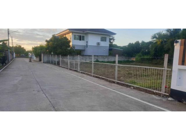 ขายที่ดินตำบลยางเนิ้งสารภีเข้าซอยรรสารภีโฉนดพร้อมโอน