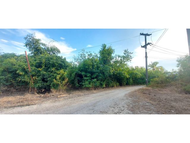ขายที่ดิน