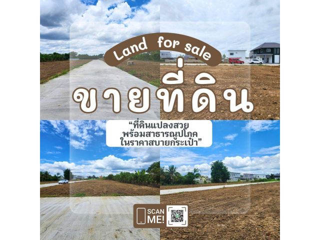 ขายที่ดิน สารภี เชียงใหม่