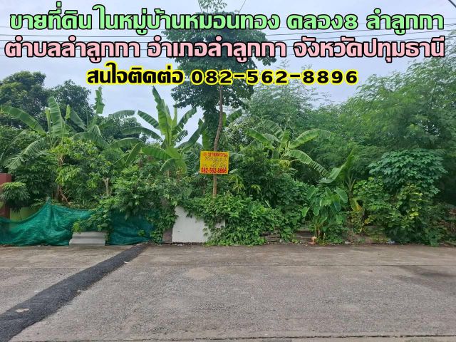 ขายที่ดิน ในหมู่บ้านหมอนทอง คลอง8 ลำลูกกา