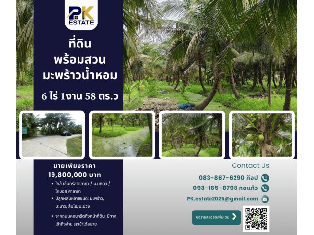 ขาย! สวนมะพร้าวใกล้กรุงเทพ ที่ดิน 6 ไร่ 1 งาน 85 ตร.ว. น้ำดีทั้งปี เดินทางง่าย ใกล้เมือง!