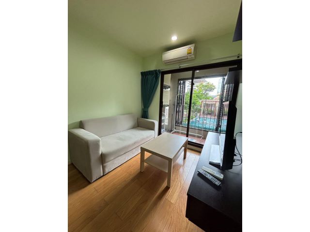 Condolette Dwell 26 safe nice