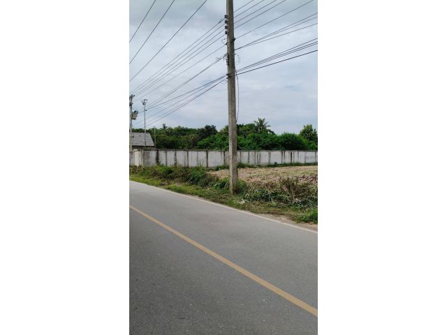 ขายที่ดินบ้านหนองก้นครุสันทรายเมืองเล็นติดถนนติดลำเหมืองพร้อมโอน