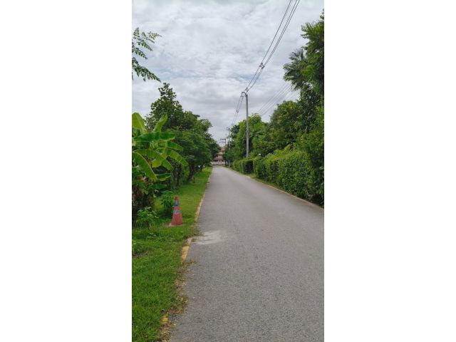 ขายที่ดินตำบลสันทรายหนองจ๊อมห่างถนนหลักเพียง 300เมตร