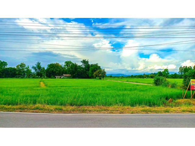 ขายที่นาติดถนนคอนกรีตตำบลสำราญราฎร์ห่างตลาดแม่คิอ 3km