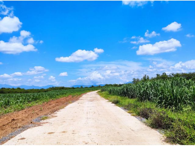 L408-ขายที่ดินเปล่า 125-2-4 ไร่ (ต.ตำหนักธรรม อ.หนองม่วงไข่ จ.แพร่)
