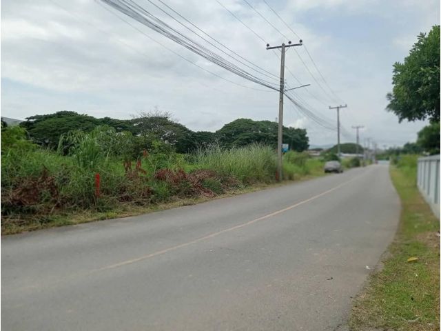 ขายที่ดินตำบลหนองจ๊อมสันทรายห่างโตโยต้านครพิงค์