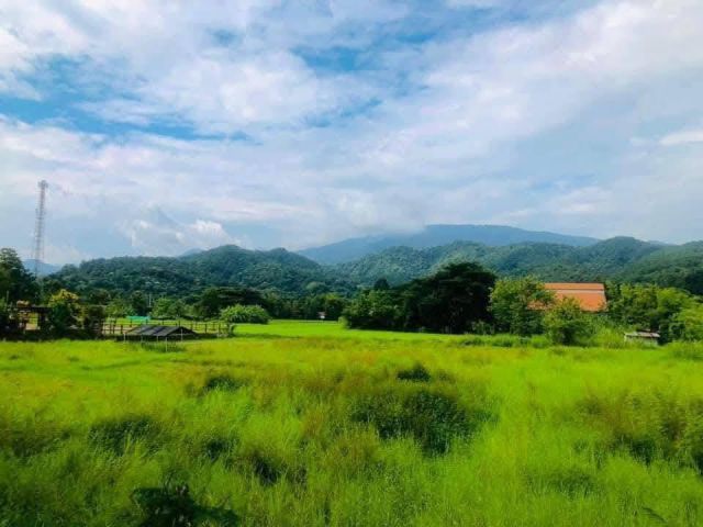 ขายที่ดินบ้านปงหางดงวิวดอยติดถนนคอนกรีตพร้อมโอน