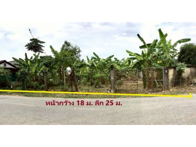 ขายที่ดินตำบลป่าตันห่างโรงพยาบาลลานนาเพียง 1.2 กม