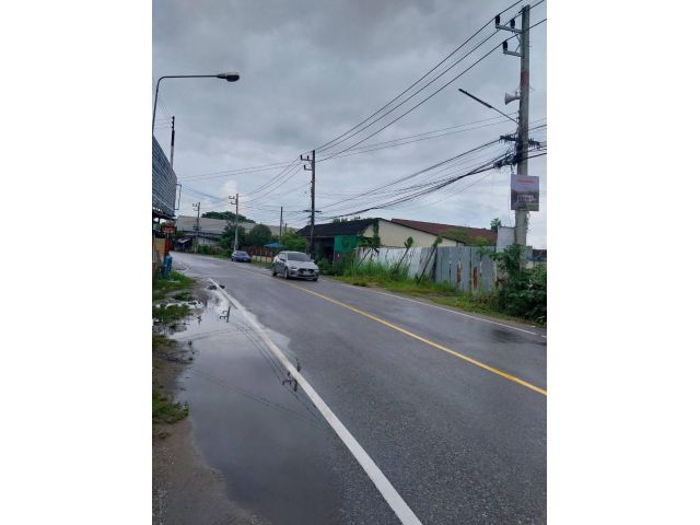 ขายที่ดินตำบลสันปูเลยดอยสะเก็ตติดถนนสายหลักพร้อมโอน