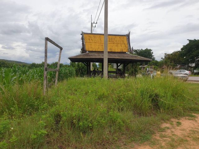 ขายที่ดินติดถนนบ้านแม่หอพระแม่แตงโฉนดพร้อมโอน
