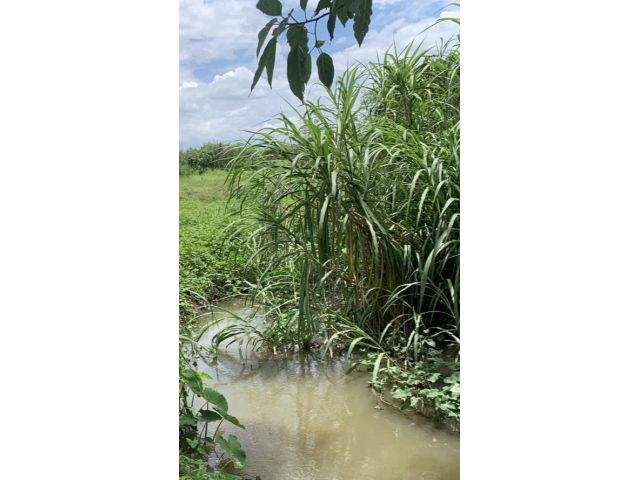 ขายที่ดินติดลำเหมืองใหญ่บ้านแหวนหางดงถมดินเรียบร้อย