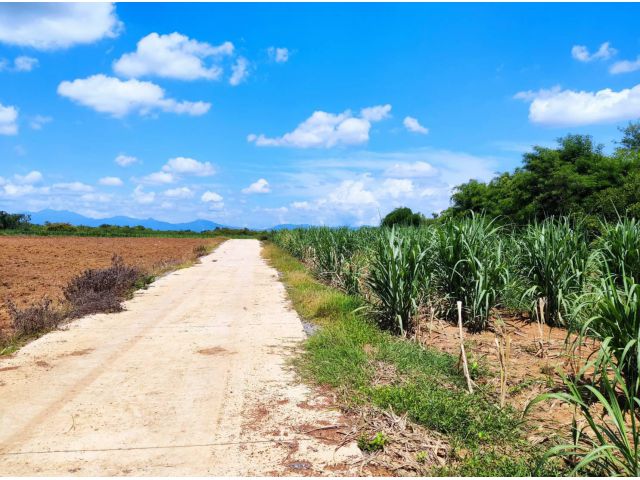 L408-ขายที่ดินเปล่า 125-2-4 ไร่ (ต.ตำหนักธรรม อ.หนองม่วงไข่ จ.แพร่)