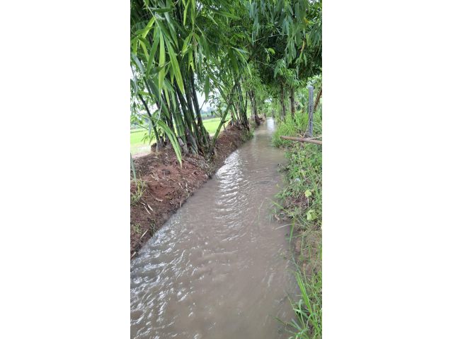 ลำธารไหลผ่าน ไร่ละ 3.5 แสน ติดถนนคอนกรีต ไฟฟ้าพร้อมลงมิเตอร์ หาไม่ได้อีกแล้วบรรยากาศนี้