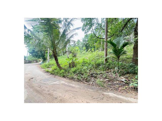 Scenic Land for Sale or Lease in Koh Samui  Ready to Build