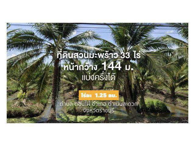 สวนมะพร้าวน้ำหอม (ให้ผลผลิตแล้ว) 33 ไร่ 2 งาน ไร่ละ 1.25 ลบ. ((แบ่งขาย 16.5 ไร่ได้)) หน้ากว้าง 144 ม. ติด ถ.สาธารณะ ด้าน